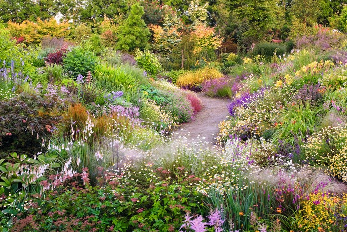 Keith Wiley's Wildside Garden features a depth of naturalistic planting with expansive colour