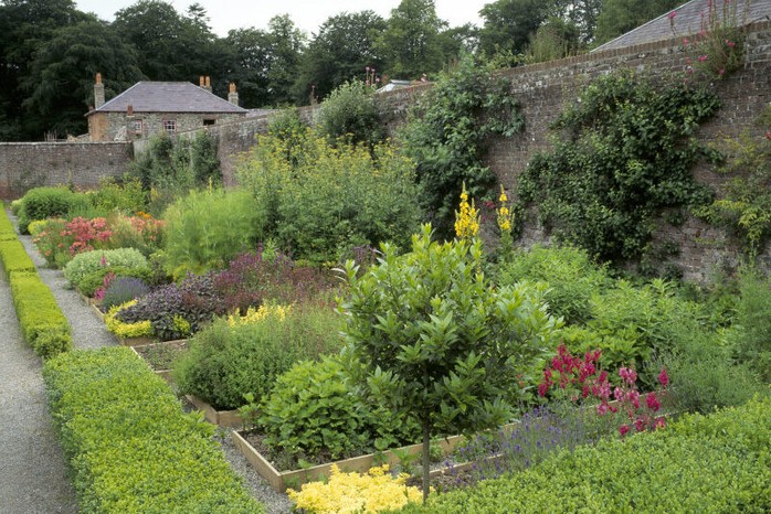 The herb garden in the East Walled Garden at Llanerchaeron.