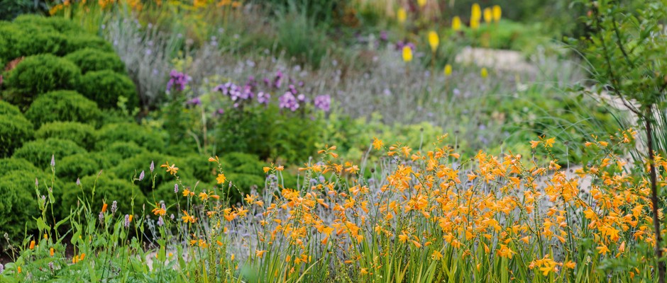 Marian Boswell's layered border planting plan