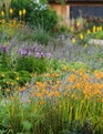Marian Boswell's layered border planting plan