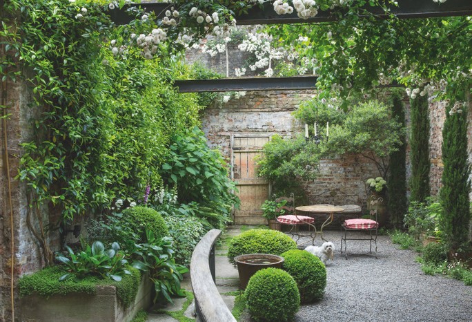 Shady courtyard garden, clipped box balls around bird bath, table and chairs on gravel terrace, wooden gate