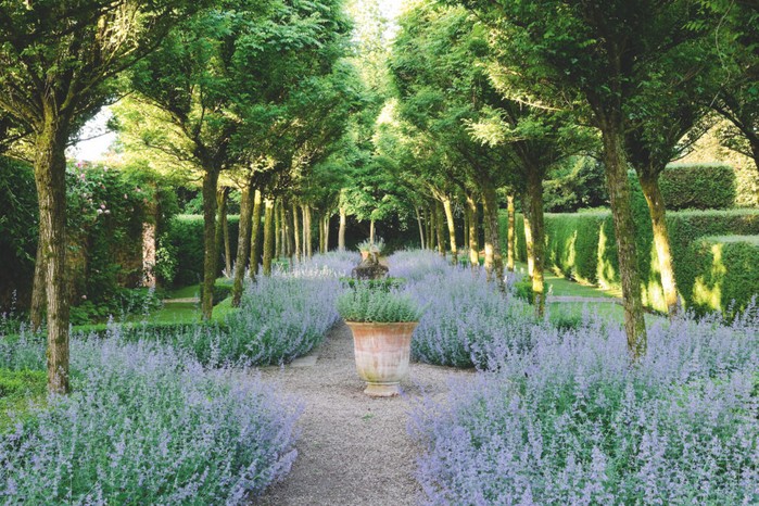 Cothay Manor is a prime example of how you can achieve mesmerising symmetrical balance in the garden. It also demonstrates the balance between naturalistic landscape and craftily tamed, manicured nature.