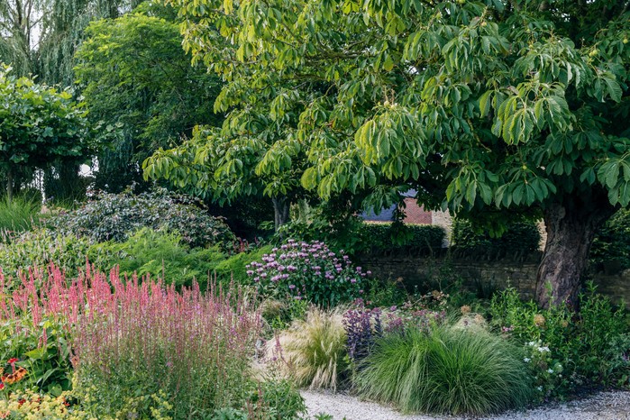 Trees along the eastern boundary add an upper storey of texture to complement the grasses and perennials that spill out over the path. These include Persicaria amplexicaulis Orange Field (= ‘Orangofield’), Lythrum virgatum ‘Dropmore Purple’ and Pennisetum alopecuroides ‘Hameln’.