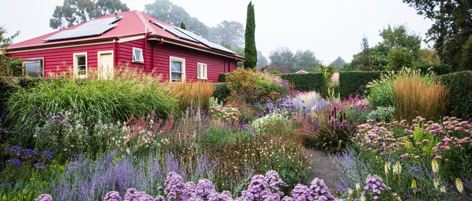 Simon Rickard's Australian garden
