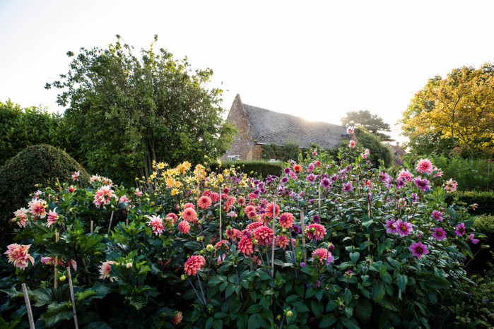 The borders at Wardington Manor with dahlias, tulips and soon: peonies.