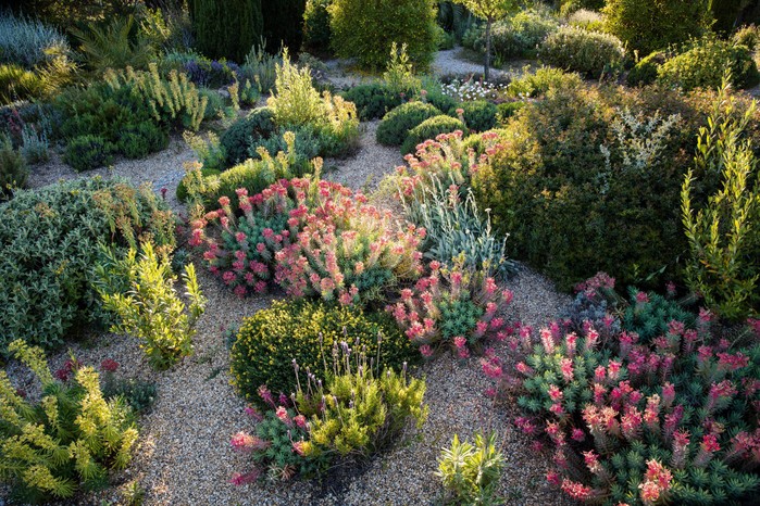 Olivier Filippi's dry garden in France