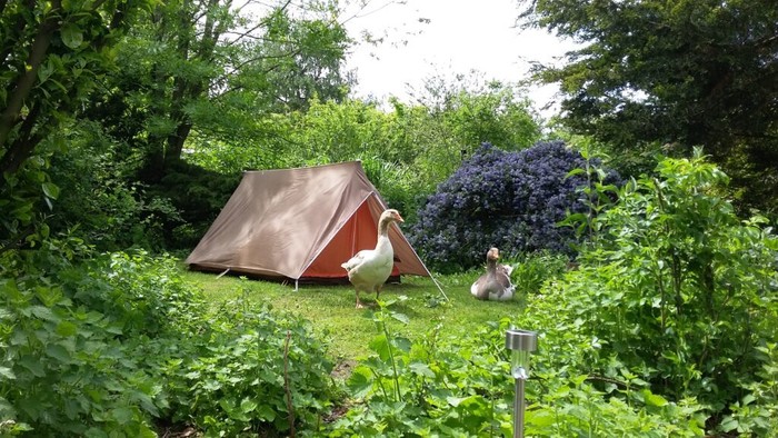 Camping in a garden
