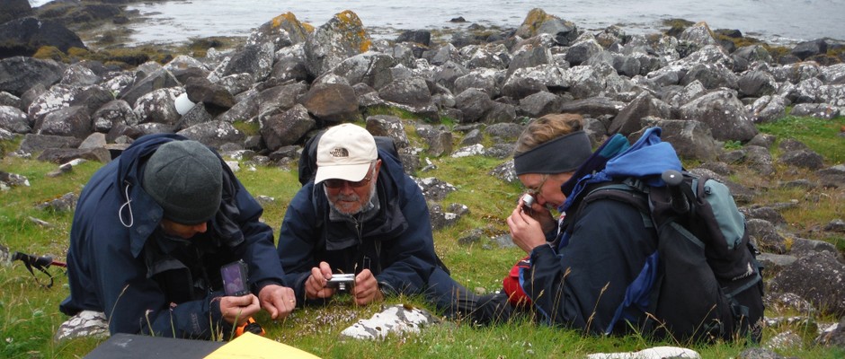 BSBI members recording plants on the Shiant Islands. Image by Louise Marsh