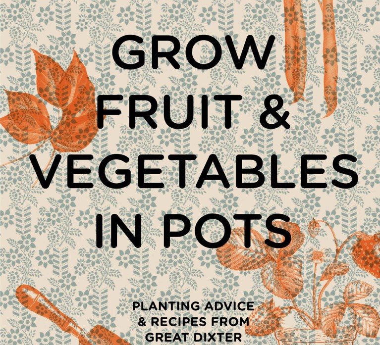 Grow fruit and vegetables in pots book cover