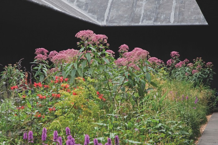 This planting by Piet Oudolf at the 2011 Serpentine Pavilion designed by Peter Zumthor showcases balance between distilled, angular, built forms and beautifully put together. chaotic and colourful nature.