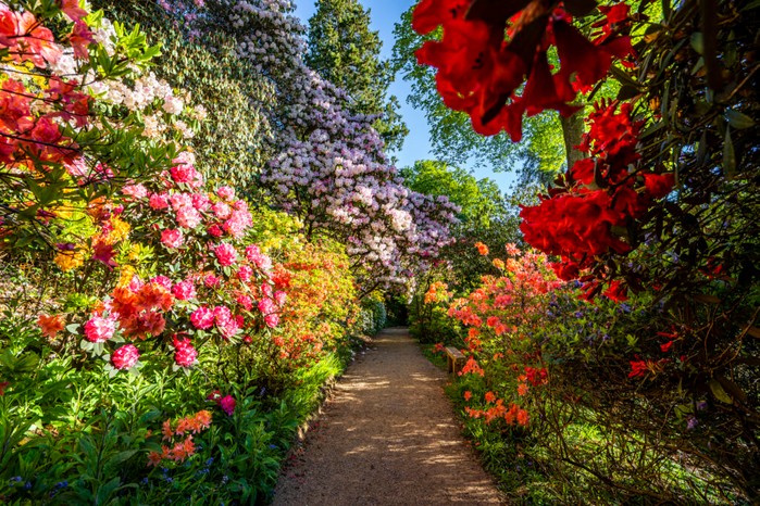 Leonardslee Gardens