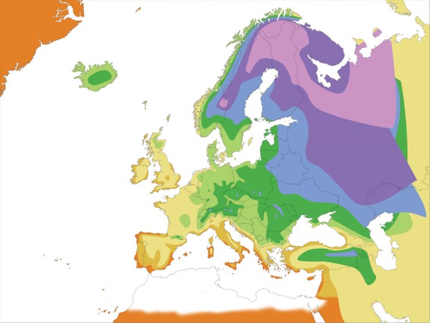 European hardiness temperature scale