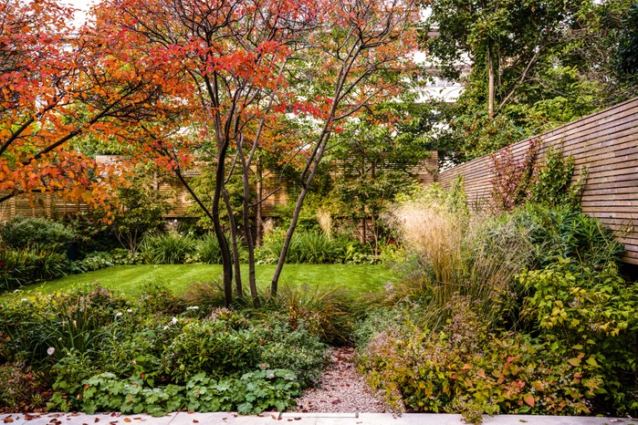 A Studio Cullis garden in south London