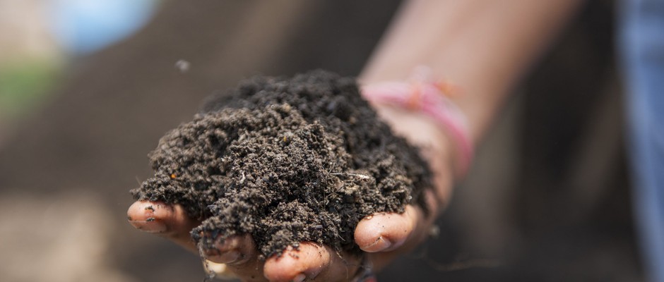 A hand holding soil