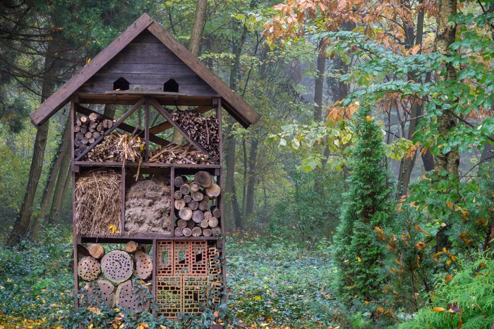 Shelter for wild insects in forest reserve