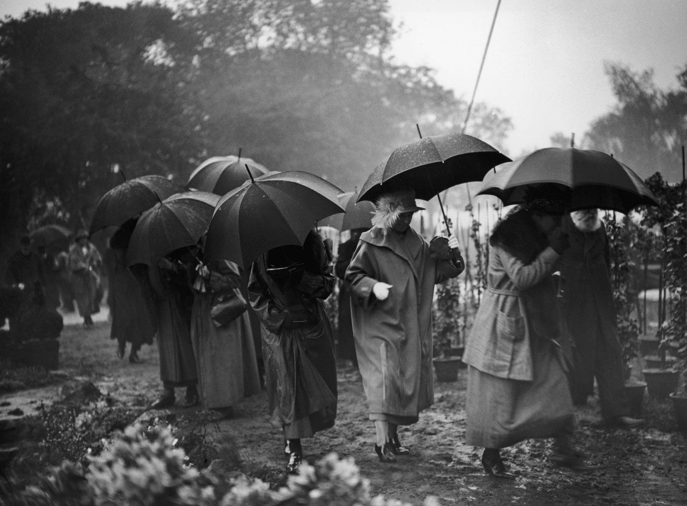 A downpour at the Chelsea Flower Show, May 1923.