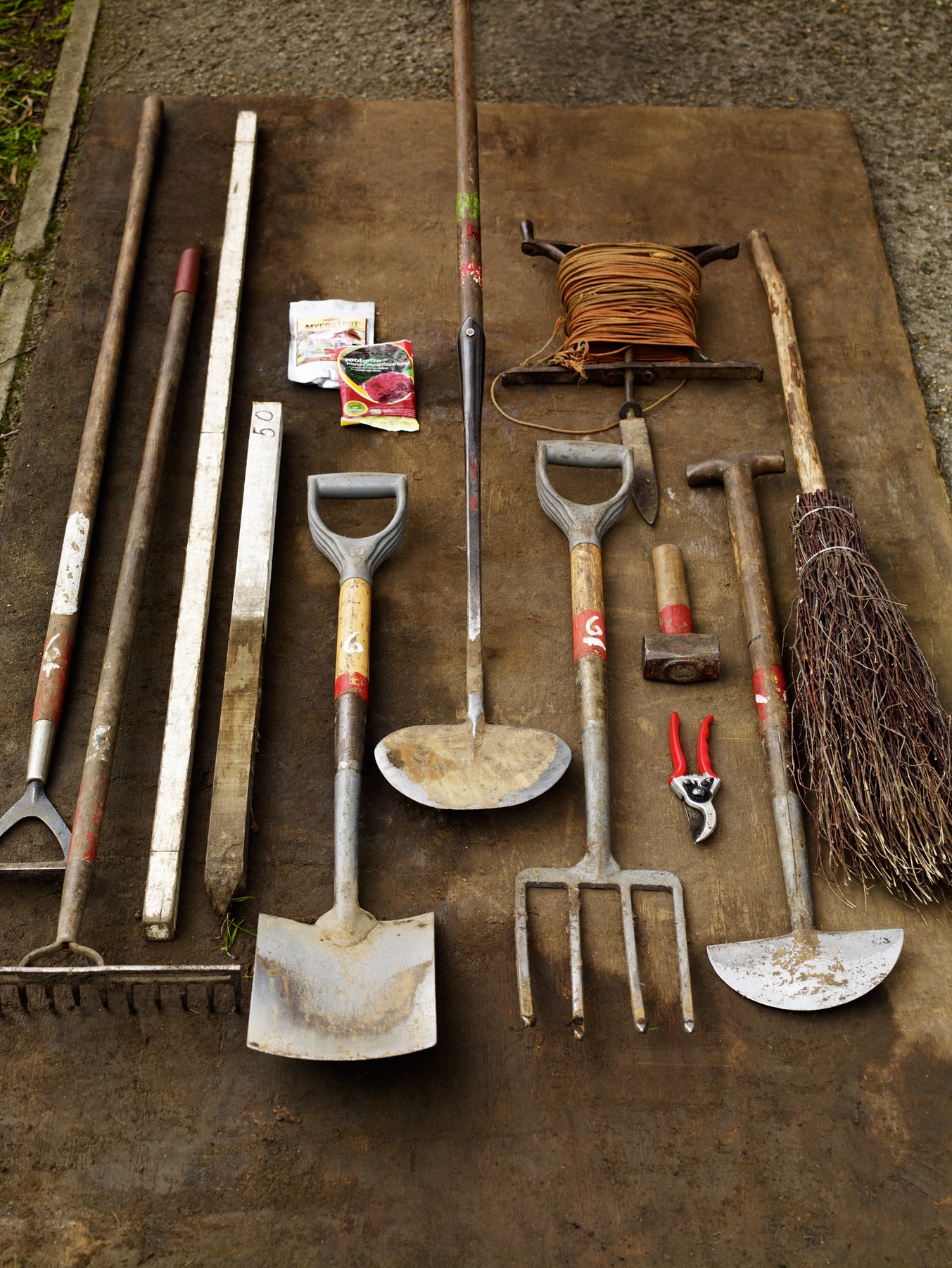 Having the right tools for the job, especially a good fork and spade, makes tree planting much easier.
