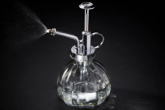 Clear glass atomiser for house plants