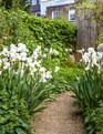 White colour palette in the garden