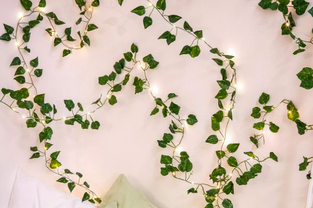 Gardening gifts: Ivy Stringlights