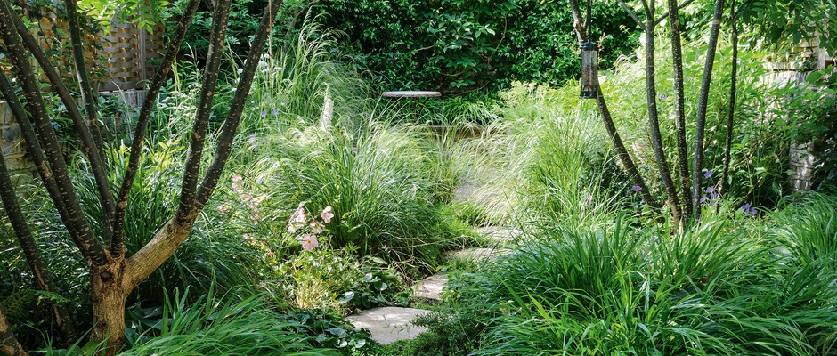 Prolific design duo Harris Bugg have created an exquisite slice of urban meadow in a wildlife-friendly garden in north London. Words Kendra Wilson. Photography Jason Ingram.