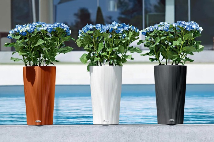 Lechuza Plastic Self-Watering Plant Pots in front of a pool