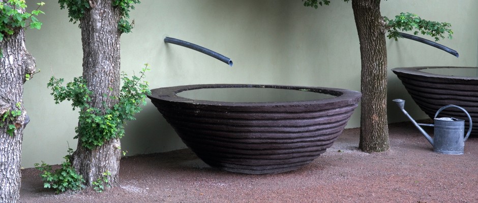 Large sculpted concrete rain water vessels and pollarded Acer Campestre