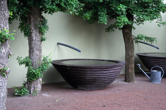 Large sculpted concrete rain water vessels and pollarded Acer Campestre
