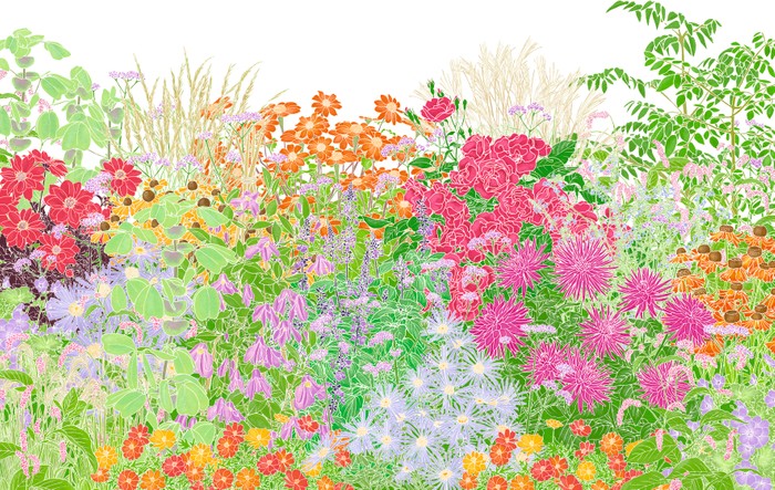 An illustration showing the plants used in a bold design for a late summer border by gardener Andrea Brusendorf