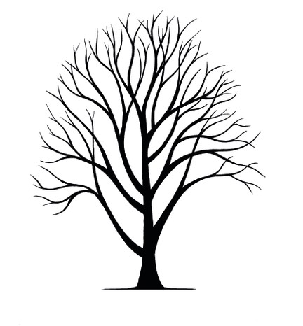Rowan tree silhouette