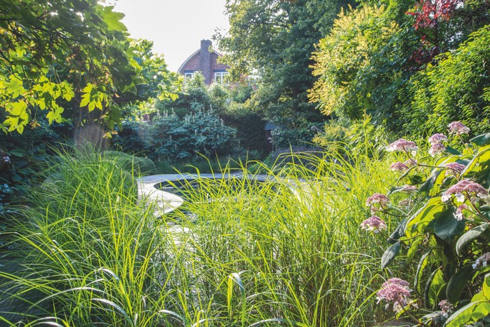 Grasses create a border between a swimming pool area and seating area within the garden