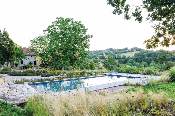 natural touch to a conventional swimming pool