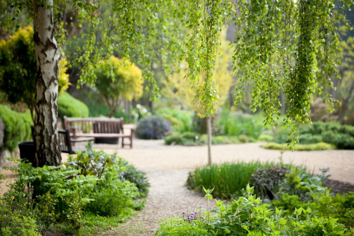 Ventnor Botanical Garden