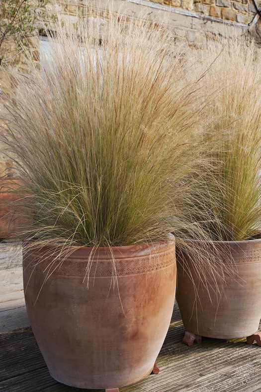 Pots of Stipa tenuissima on the deck provide contrast with their more colourful companions