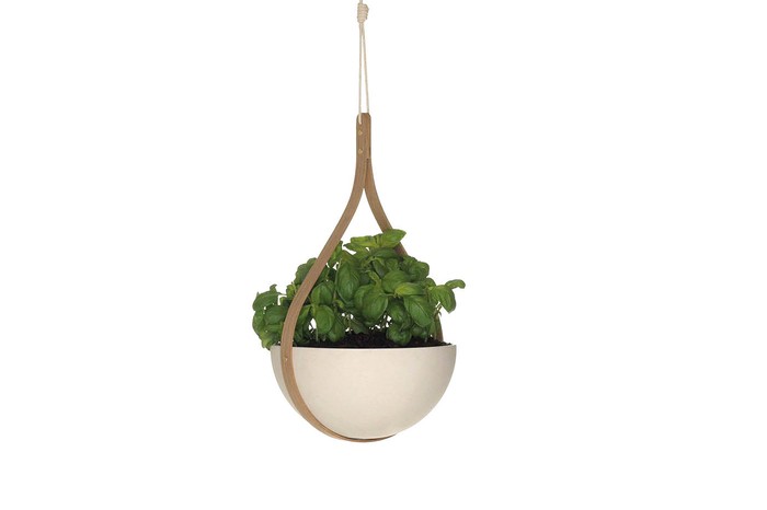 Ceiling hanging planter for house plants