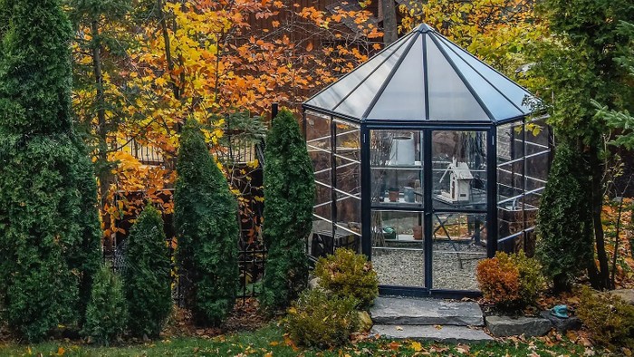 Palram Canopia Oasis Hexagonal Greenhouse 8ft Grey in a mature garden surrounded by trees