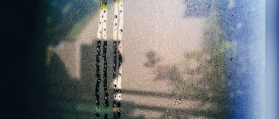 House plants and condensation © Randy Laybourne