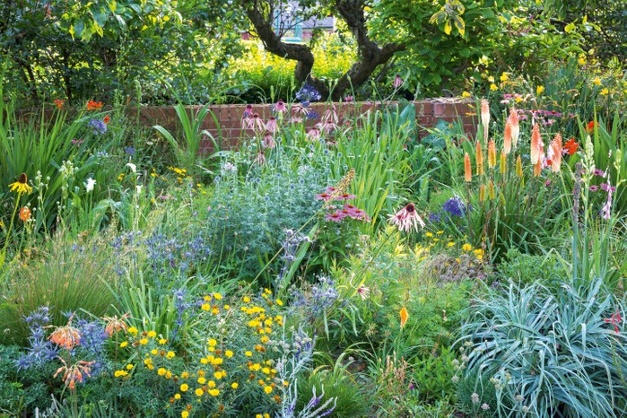 Mixed border in James Hitchmough's Sheffield garden