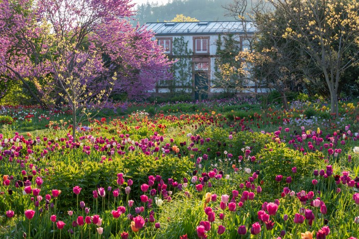 Hermannshof Garden, Germany.International Garden Photographer of the Year finalist - Richard Bloom