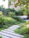 The layered planting in the large bed obscures the seating area from view. A path, softened by mats of Ophiopogon planiscapus, Soleirolia soleirolii and Viola hederacea, slows down the journey to the end of the garden