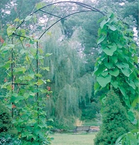Monet garden arch