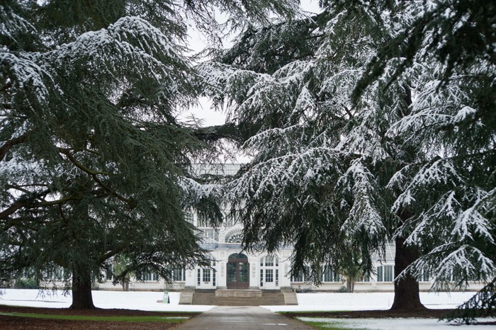 Temperate House and cedars in snow, RBG Kew