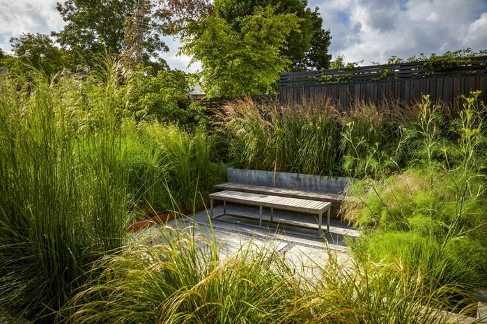Suburban garden designed by Tom Massey