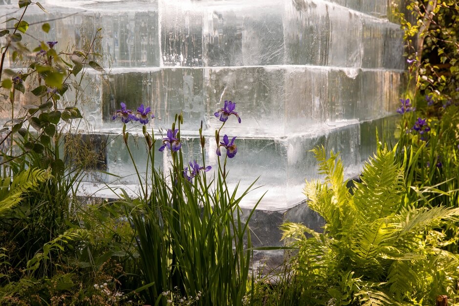 The Plantman's Ice Garden, designed by John Warland. Sponsored by The Plantman&amp;Co at RHS Chelsea Flower Show 2022