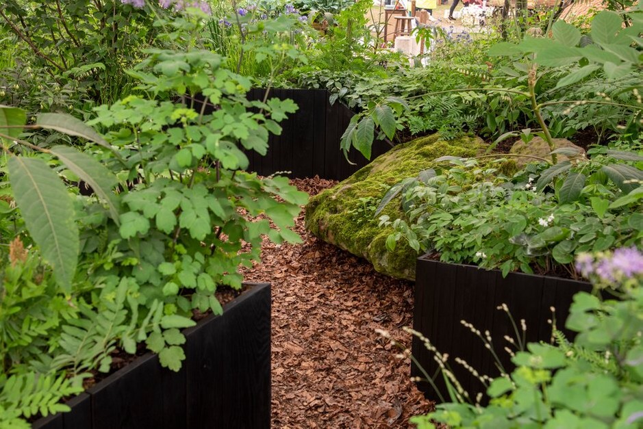 The Wilderness Foundation UK Garden designed by Charlie Hawke at RHS Chelsea Flower Show 2022.