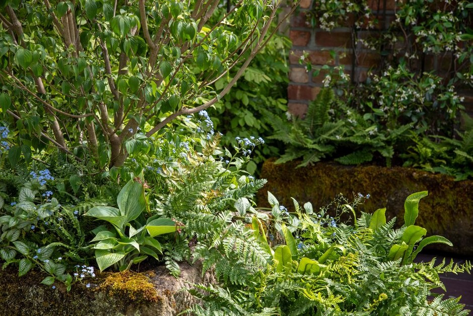 The Enchanted Rain Garden, designed by Bea Tann at RHS Chelsea Flower Show 2022