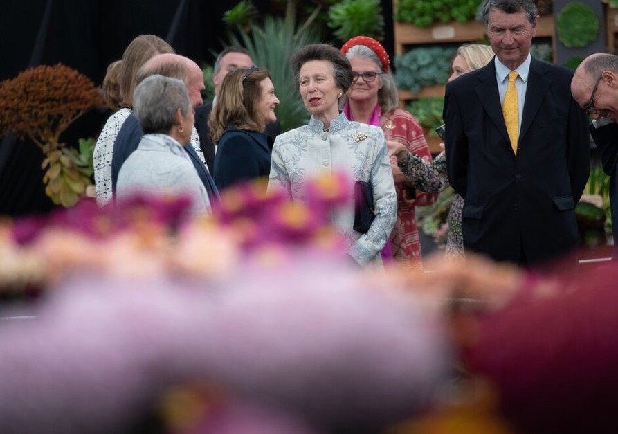 Anne, Princess Royal visits the Great Pavilion during a private view of the RHS Chelsea Flower Show