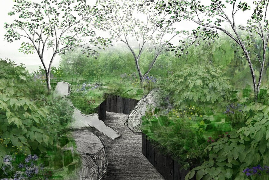 The Wilderness Foundation UK Garden, All About Plants, Designed by Charlie Hawkes. RHS Chelsea Flower Show 2022.